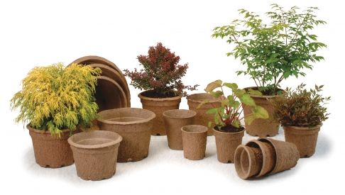 pots ассада.jpg pots ассада.jpg